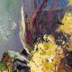 Oil on canvas by the lagnoux bouquet of still life flowers 1960