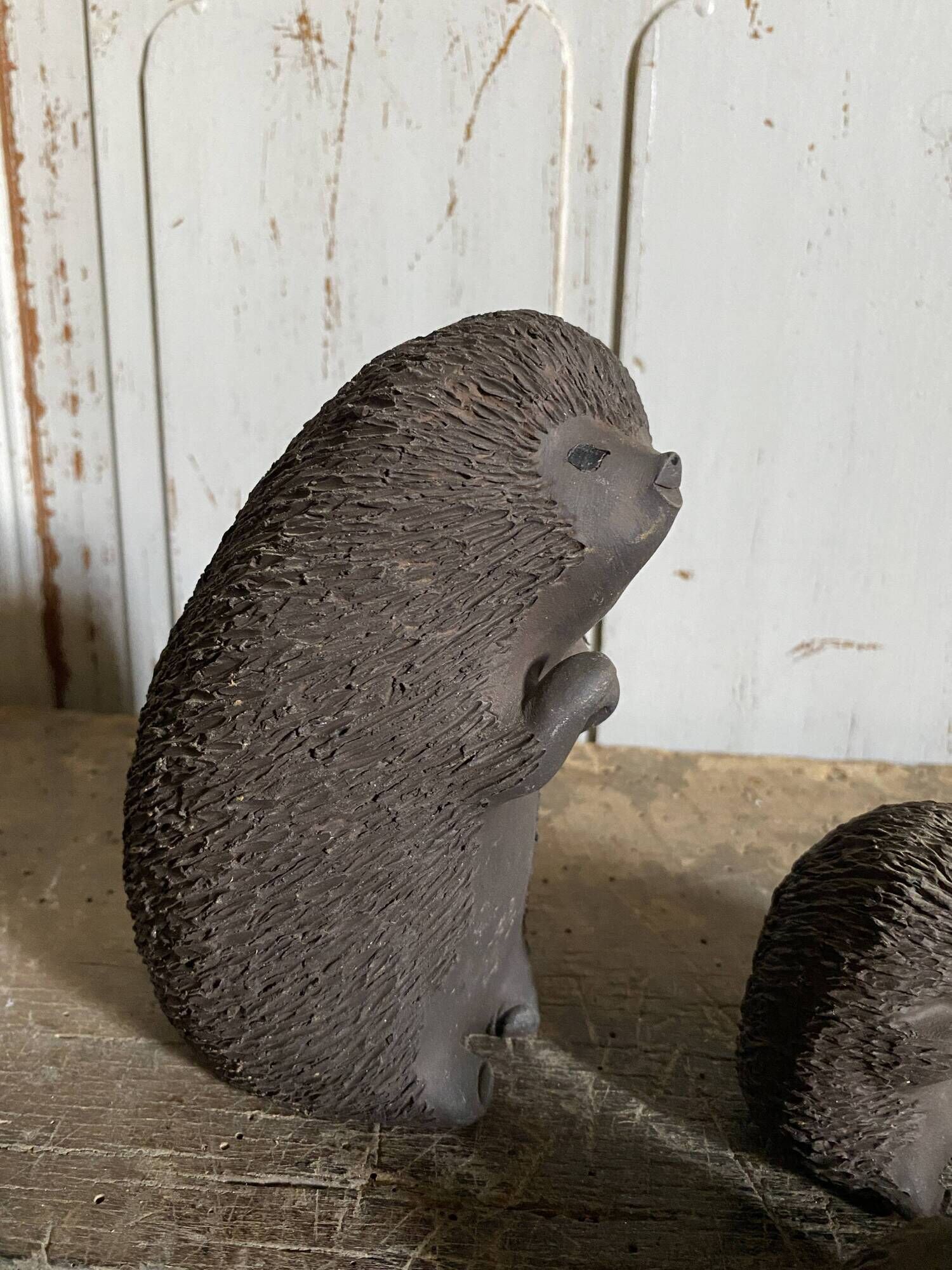 Danish hedgehogs by Ellen Karlsen