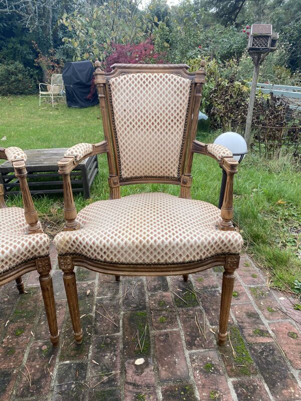 Paire de fauteuil cabriolet Louis 16