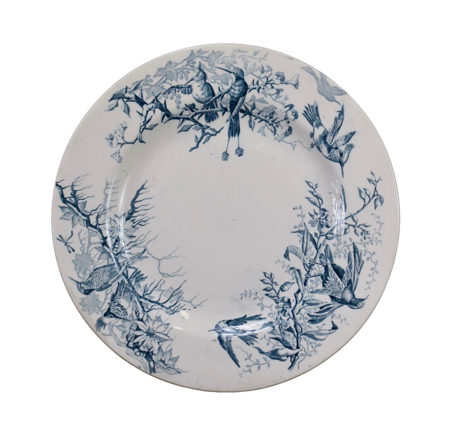 Plate colibri luneville in faience white and blue