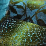 Stunning NAPALI 126 modular velvet sofa by the Bretz Brothers for Bretz Germany