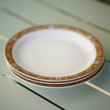 Dessert plates