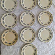 Lot of 10 old Badonviller Richelieu ironstone plates