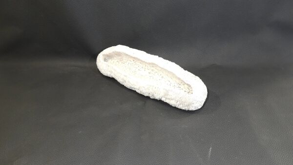 Corail blanc coussin de requin , vanuatu ,papouasie nouvelle guinée