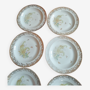 Assiettes de limoges creuse