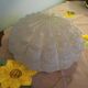 Flower-shaped press glass and glass ceiling light
