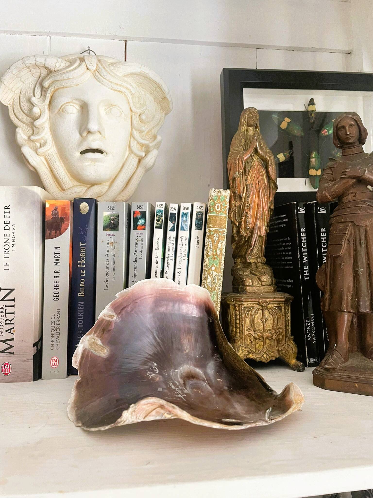 Large seashell: Placuna