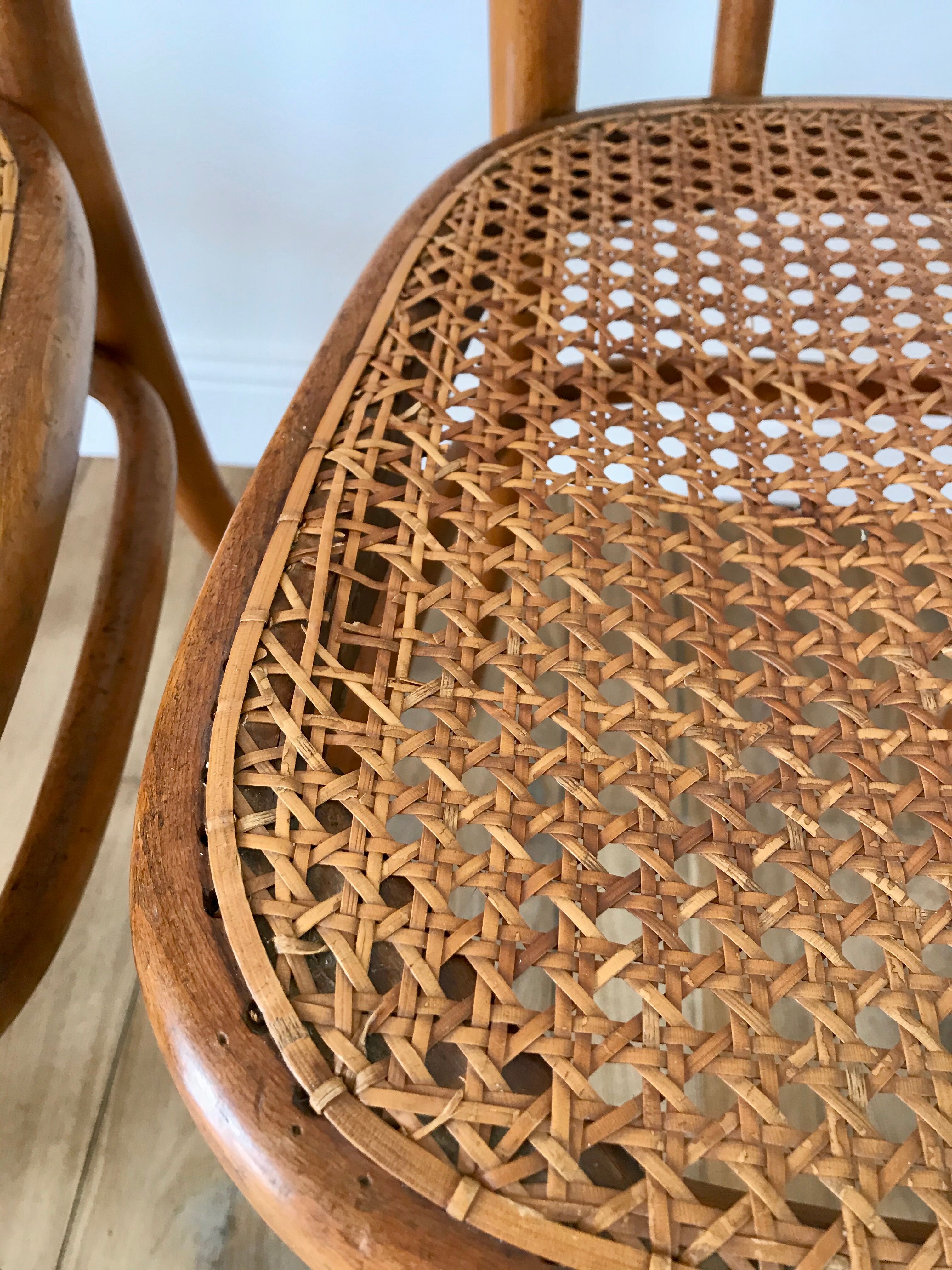 Set of 4 cane chairs in bentwood and honey-coloured cane thonet early 20th century