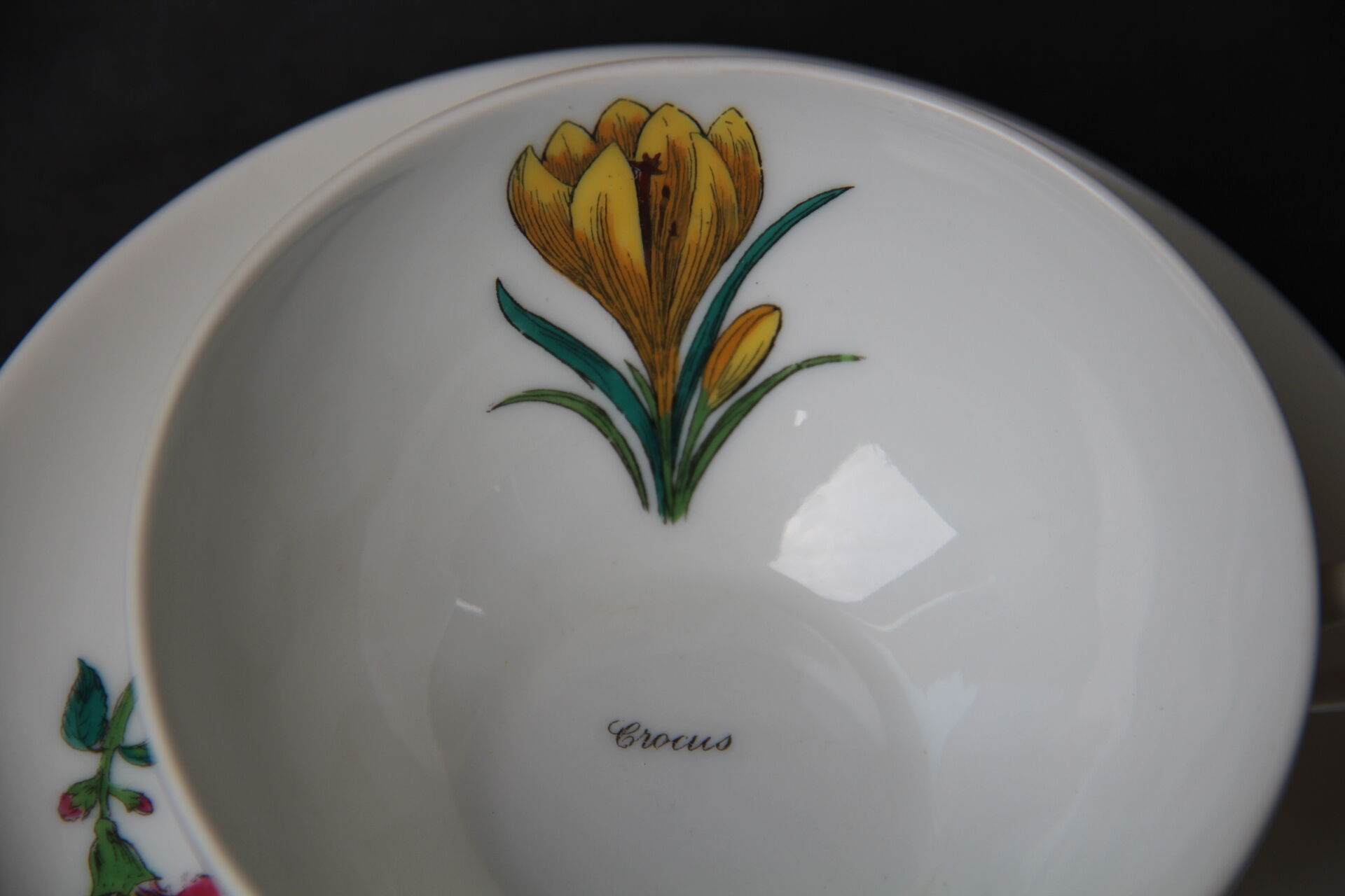 6 CUPS and undercups in NBD Limonges porcelain, hand illuminated, floral patterns