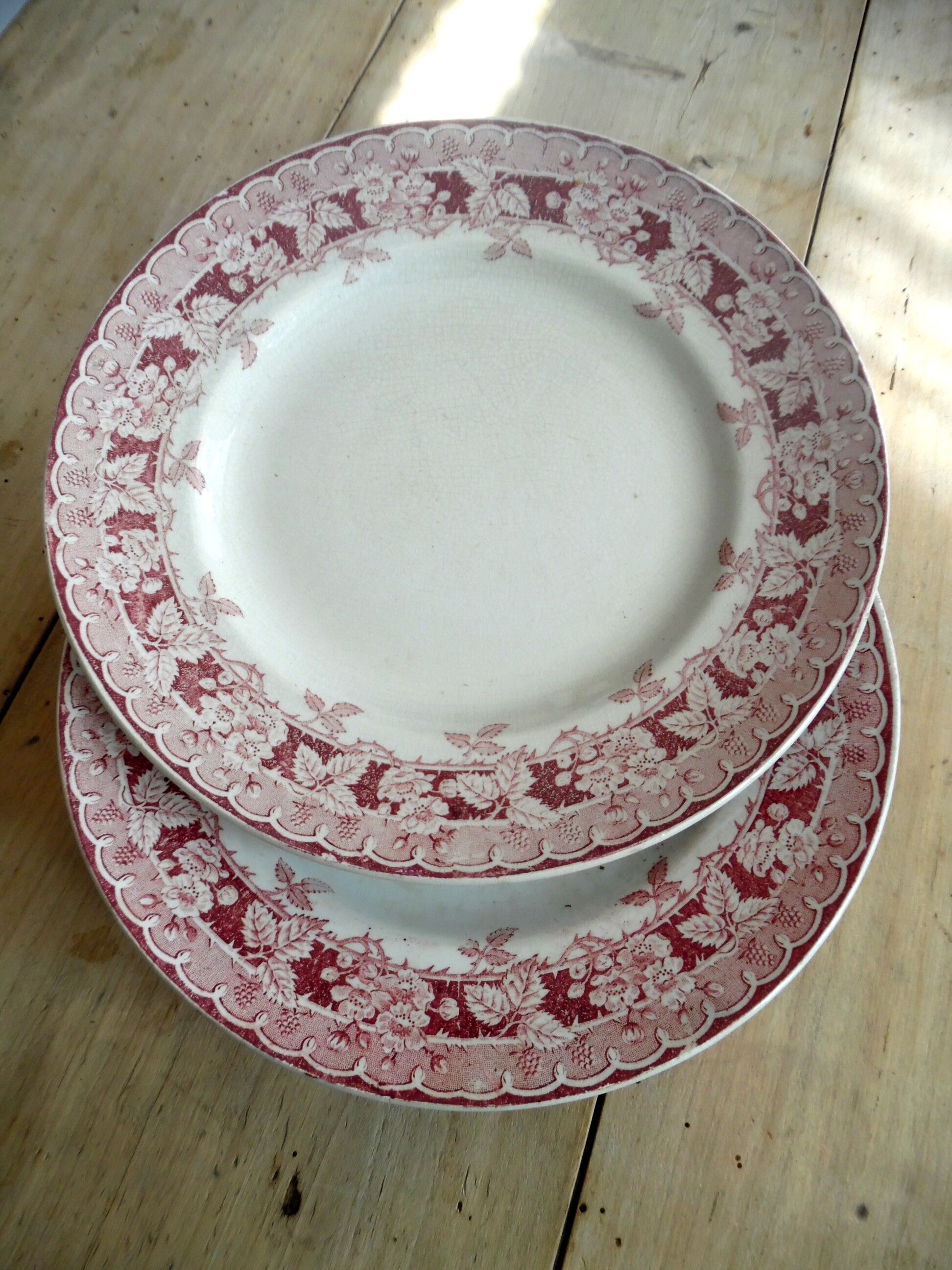 6 flat saint amand plates