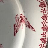 Lot of 9 plates iron earth circa 1900