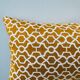 Ochre cushion