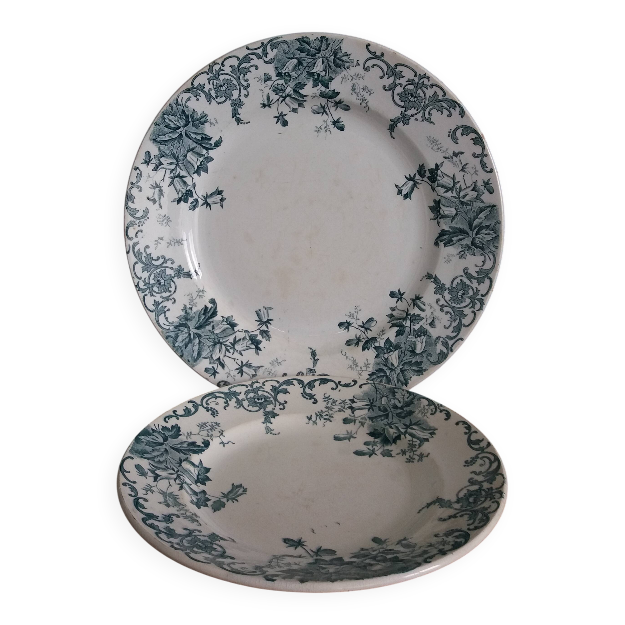Set of dishes and plates from Terre de fer Saint Amand and Hamage Campanule