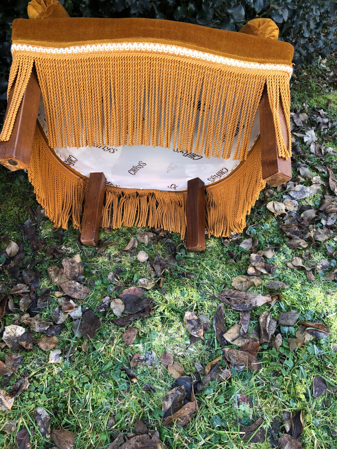 Fauteuils crapaud