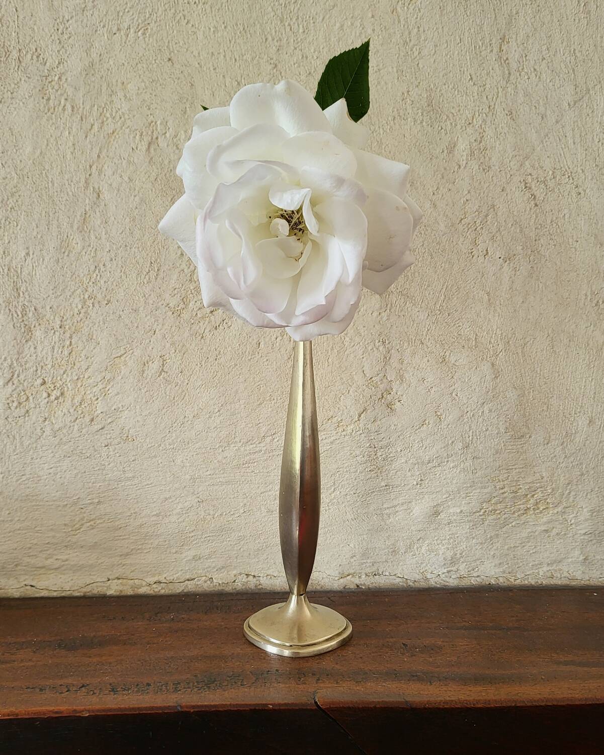 Brass soliflore vase