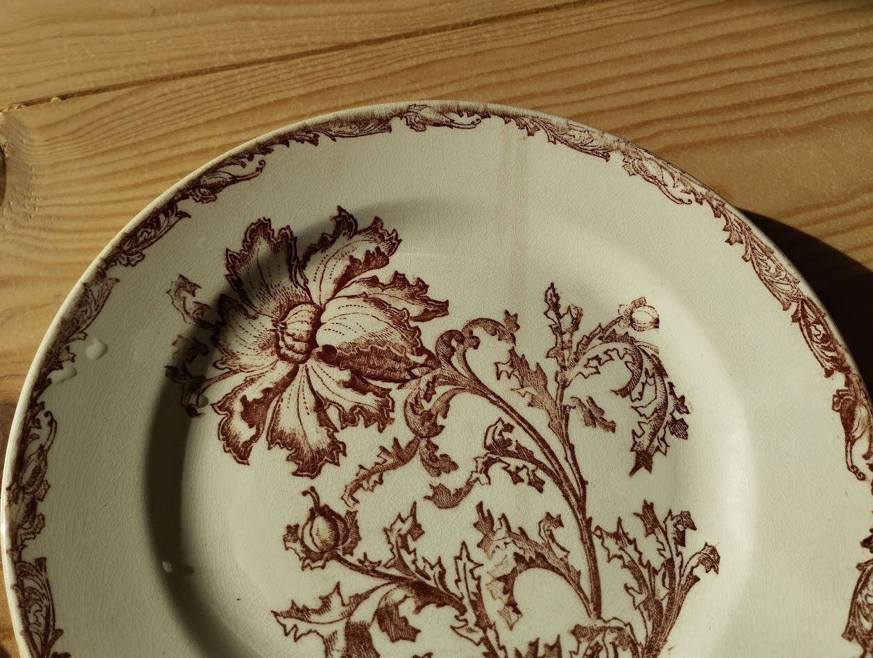 Datura plates iron earth