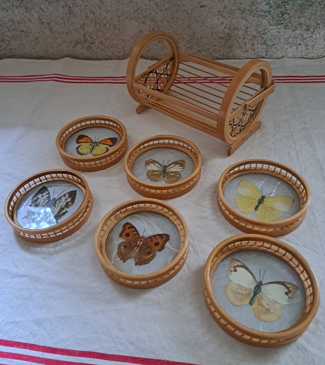 6 70's Butterflies under glass and their support