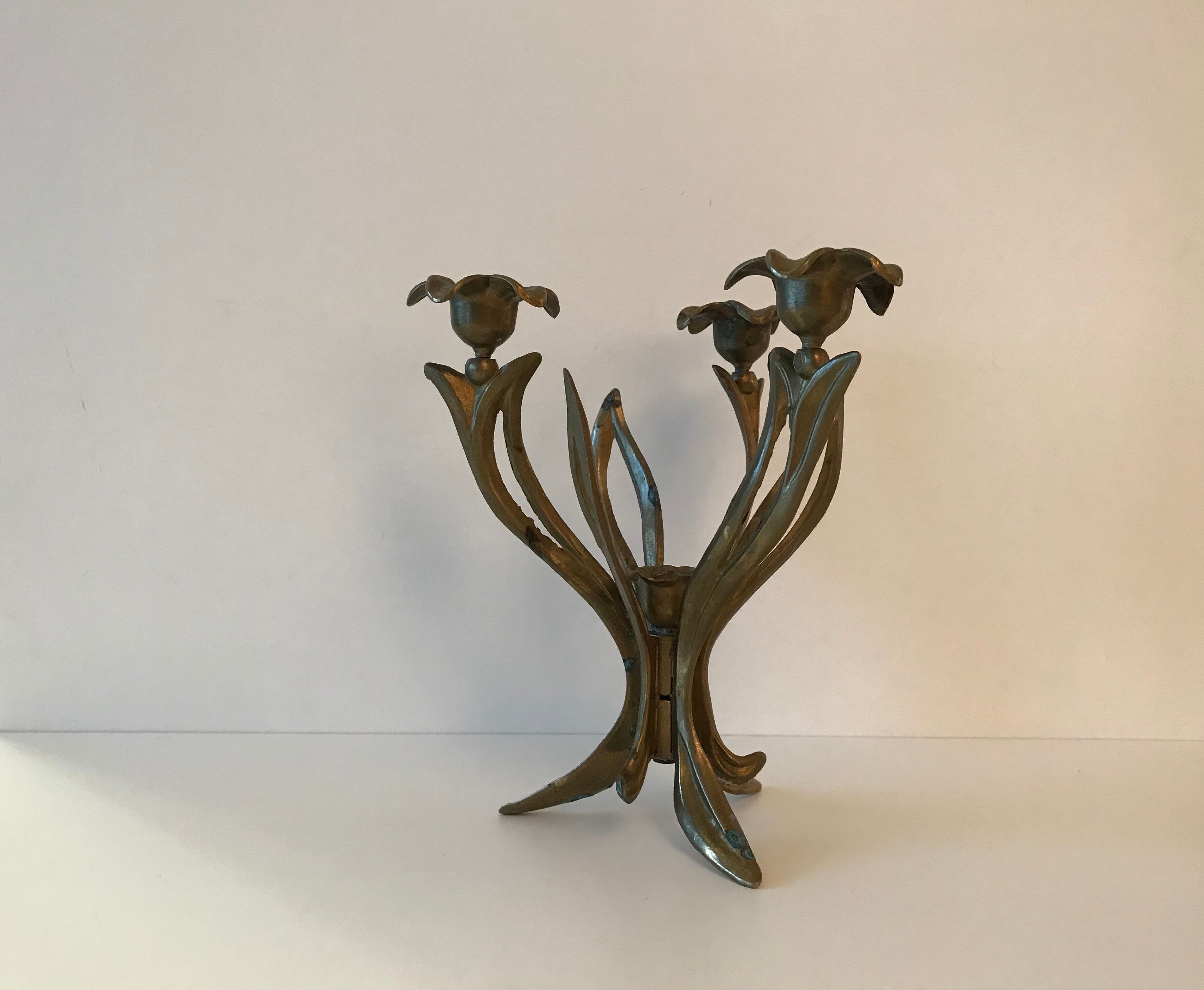 Candlestick lily flowers