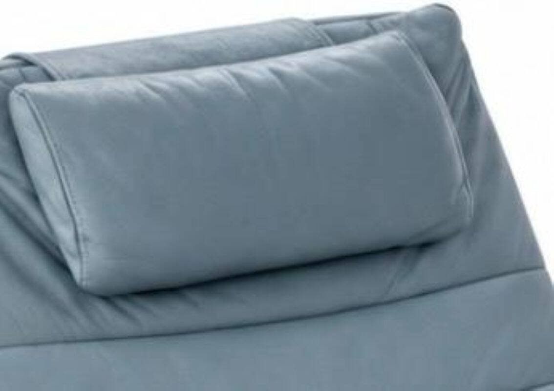 Vita Lounger in Leather from Ewald Schillig, 2010s