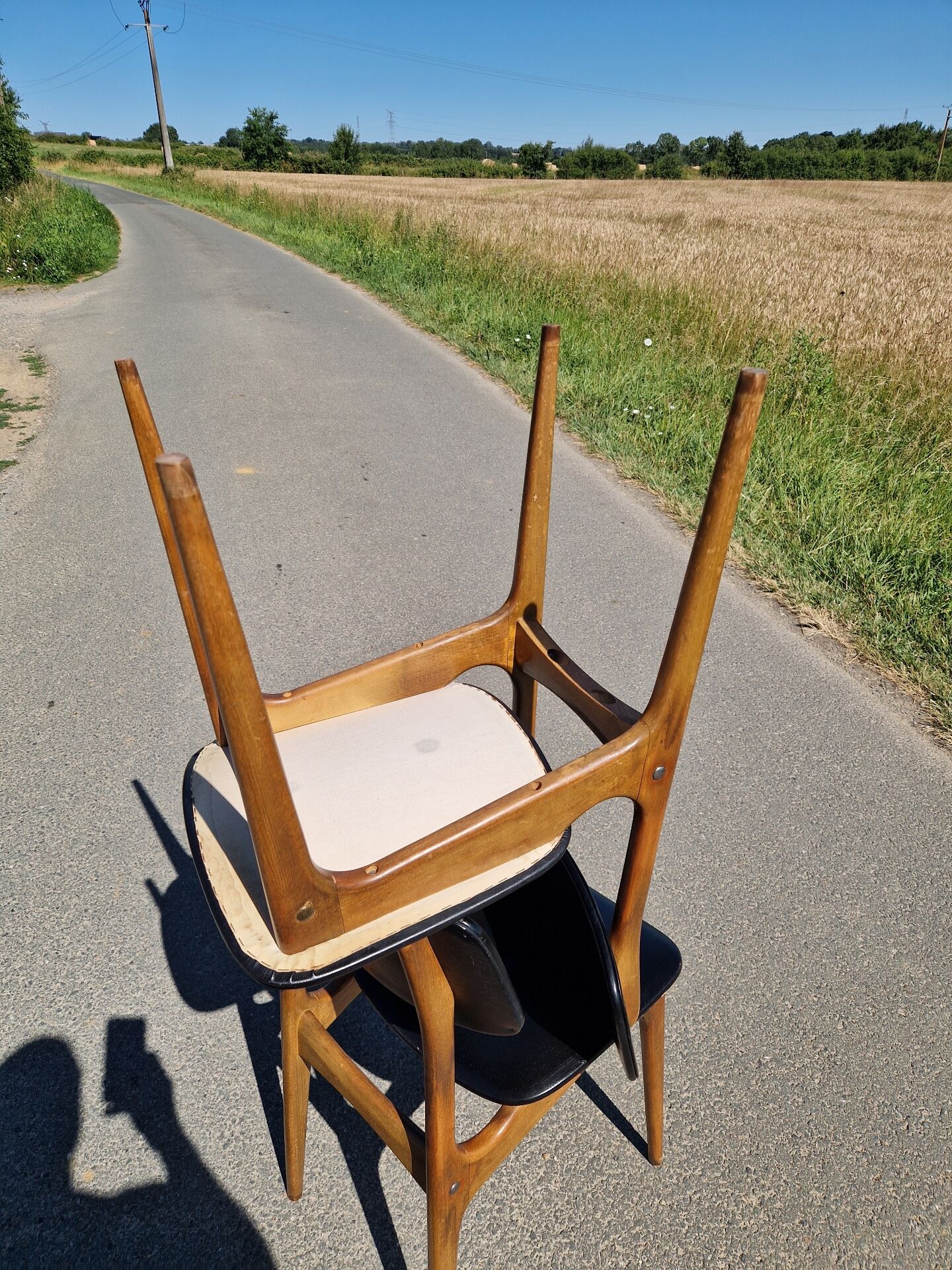 Lot de 2 chaises scandinaves