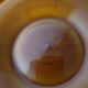 Longchamp's vintage oyster plate