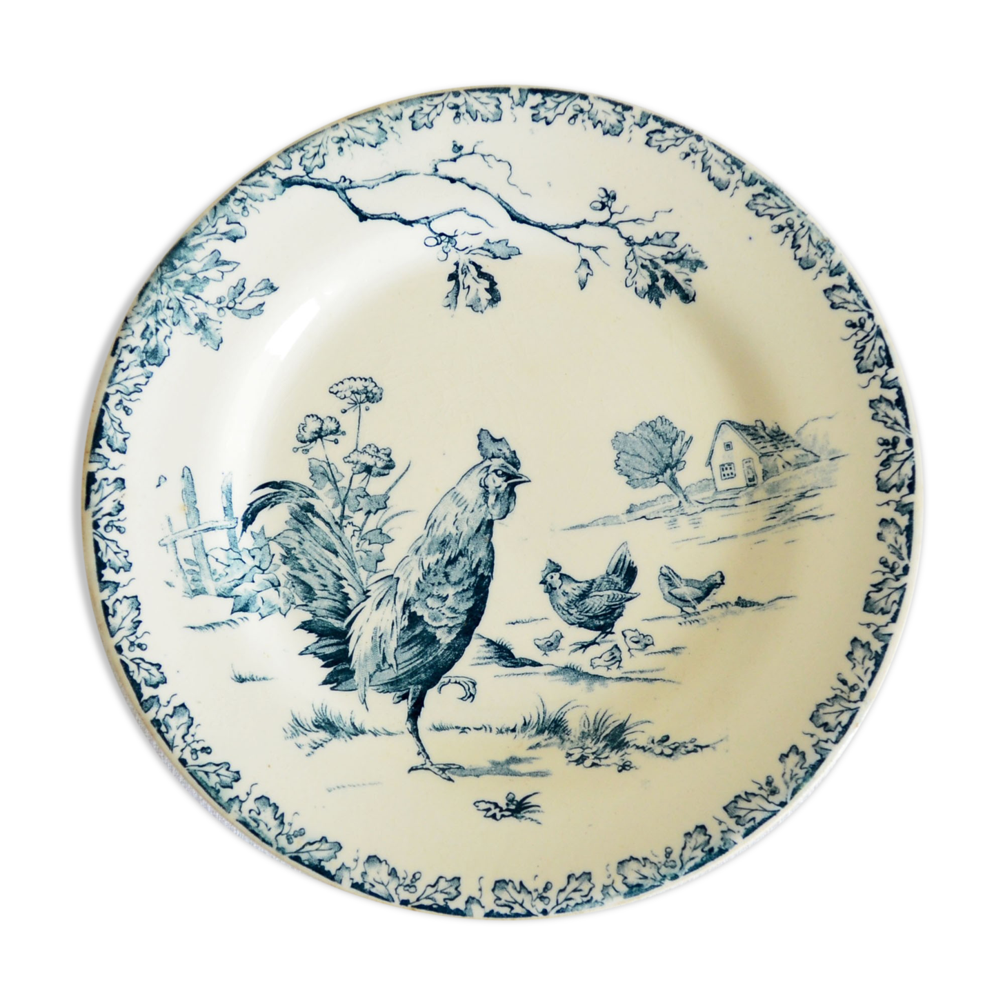 Flat plate porcelain of Gien pattern Roosters