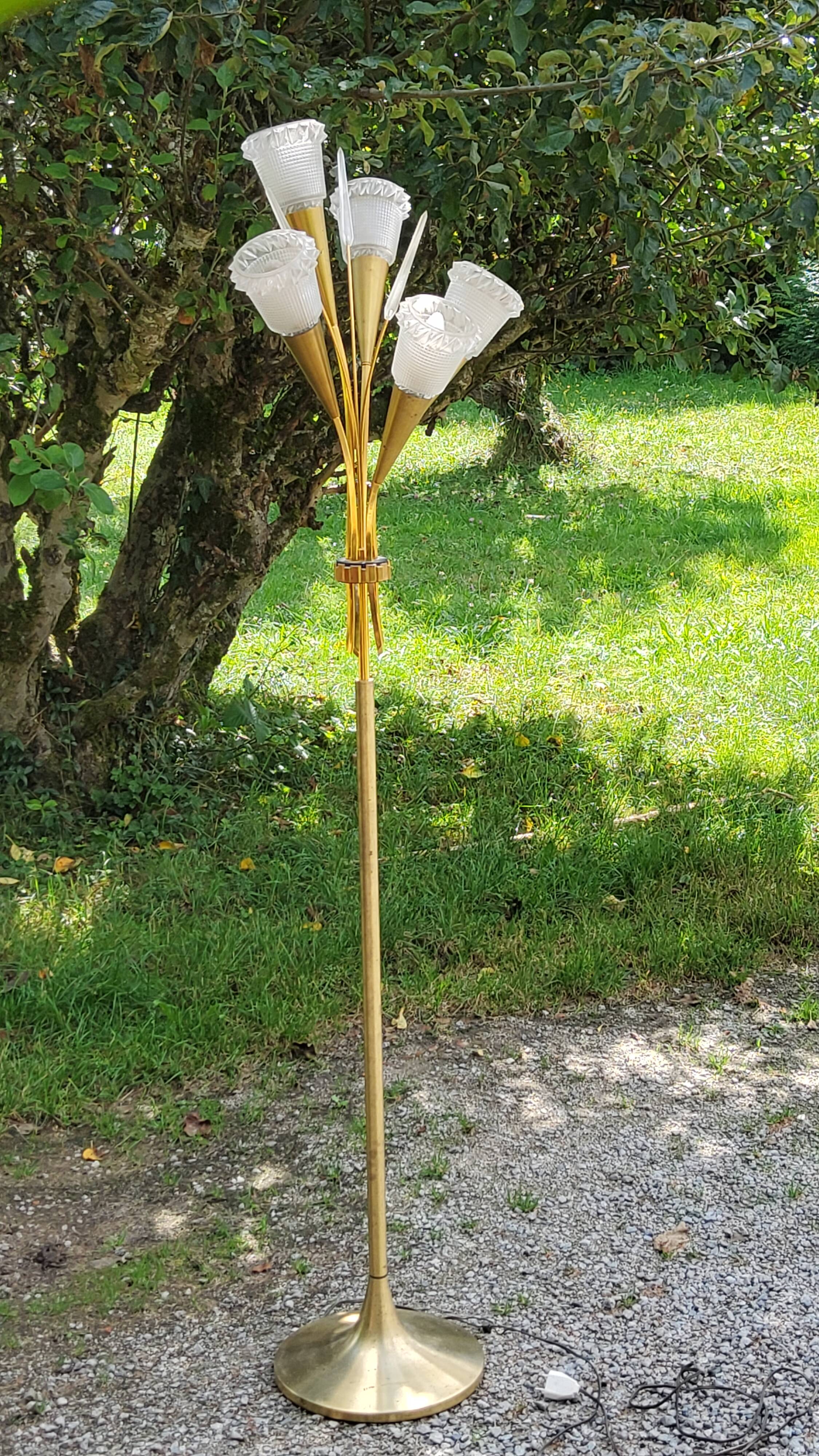 Vintage floor lamp in gilded brass with 5 glass tulips from the 50s