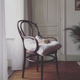 Fauteuil Ungvar Ungarn N°18