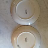 Decorative or utilitarian plates in enamelled earthenware