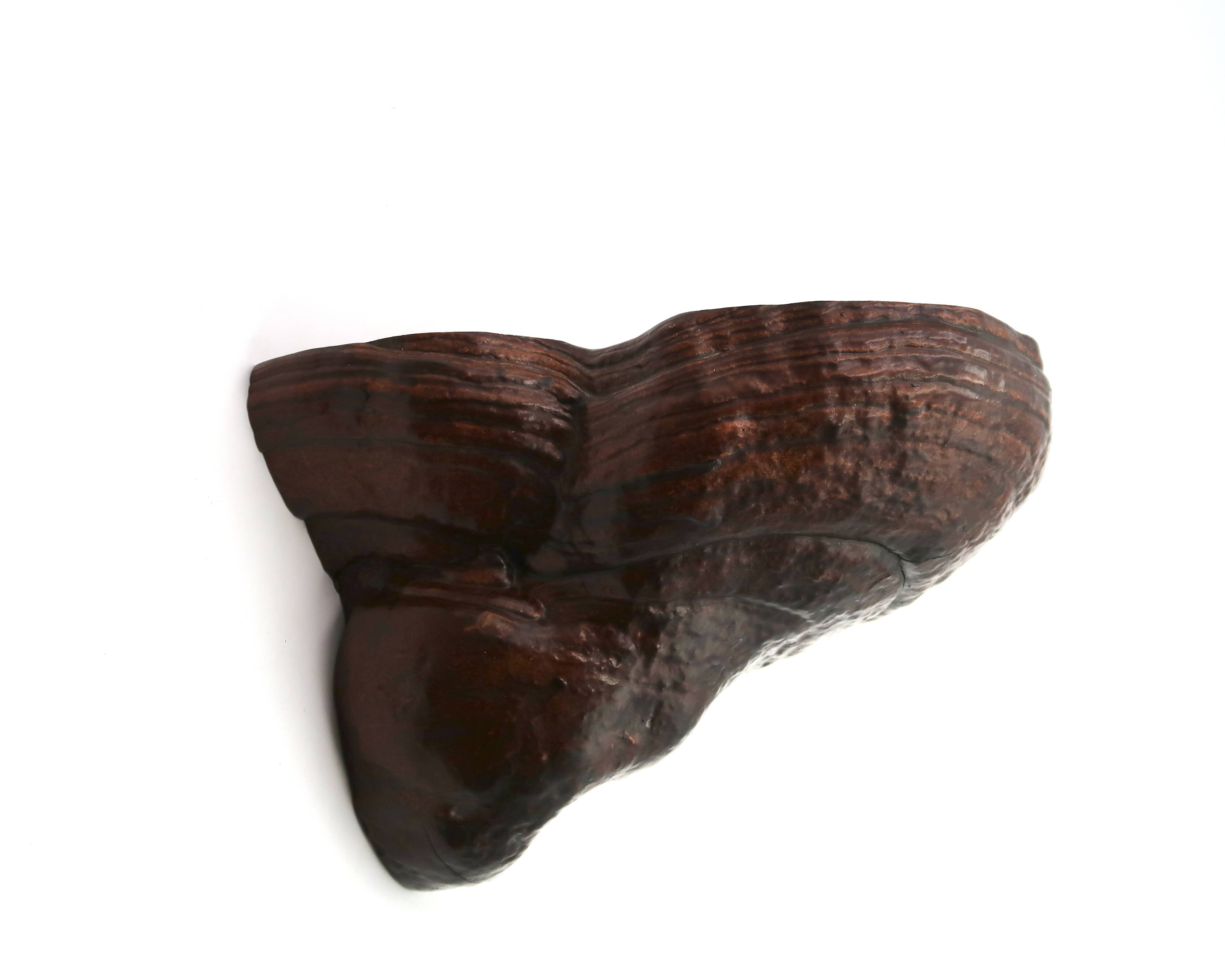 Natural mushroom-shaped wall shelf in dark wood, 1970s.