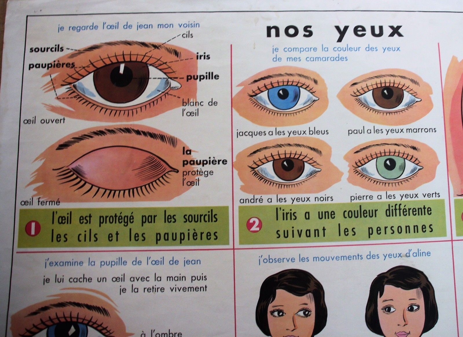 Affiche scolaire vintage MDI Nos dents et les yeux 19 et 20