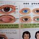 Affiche scolaire vintage MDI Nos dents et les yeux 19 et 20