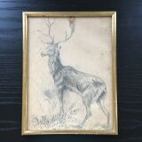 Drawing signed deer in charcoal