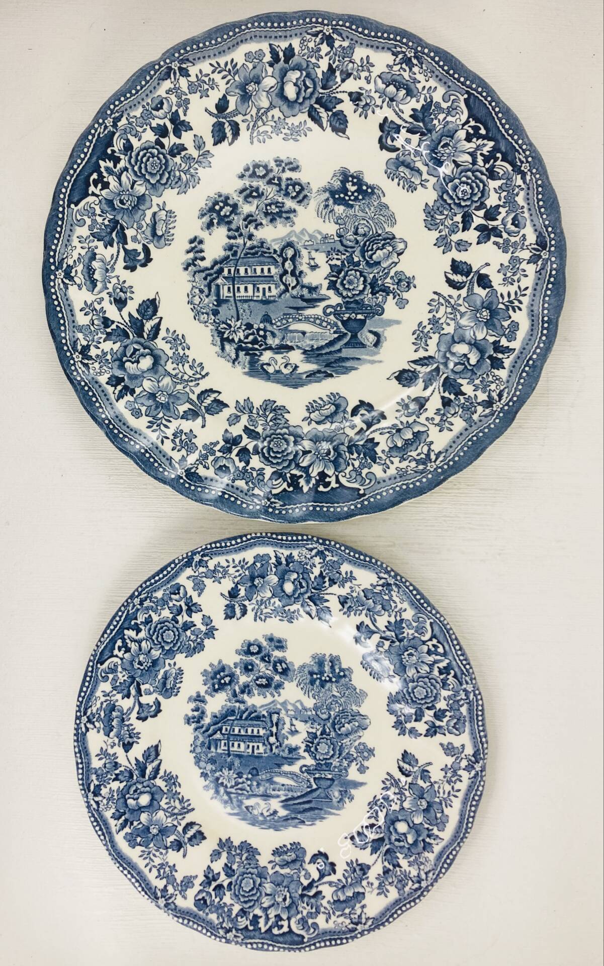 Duo d’Assiettes Myott  Meakin Modèle Tonquin