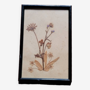 Vintage dried flower frame