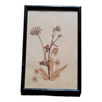 Vintage dried flower frame