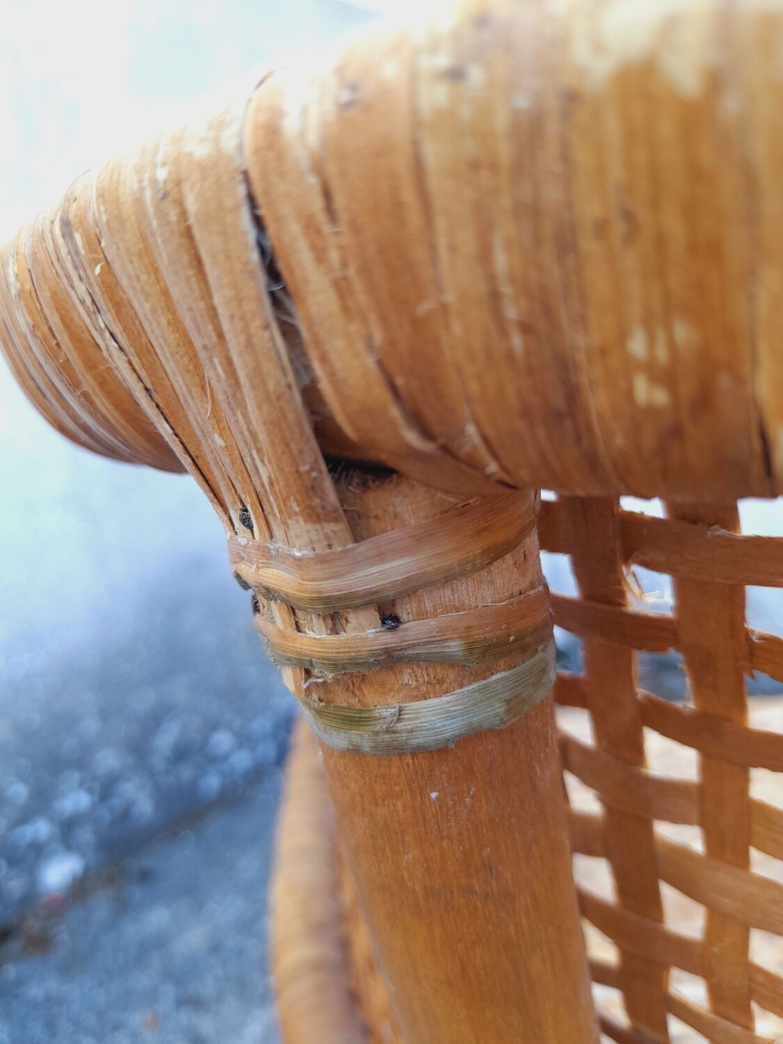 2 vintage cane rattan armchairs