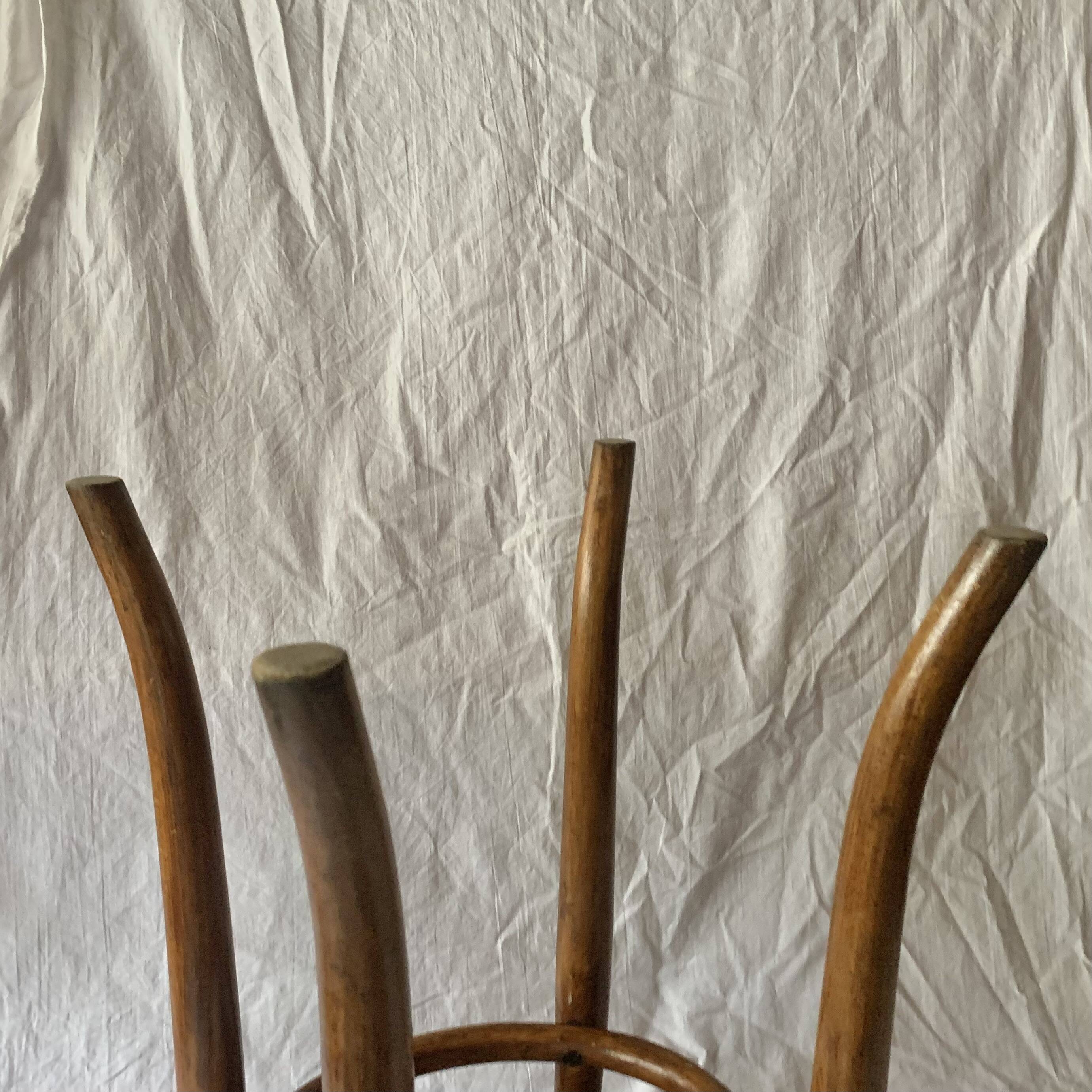 Thonet style Art Nouveau bistro stool in curved wood
