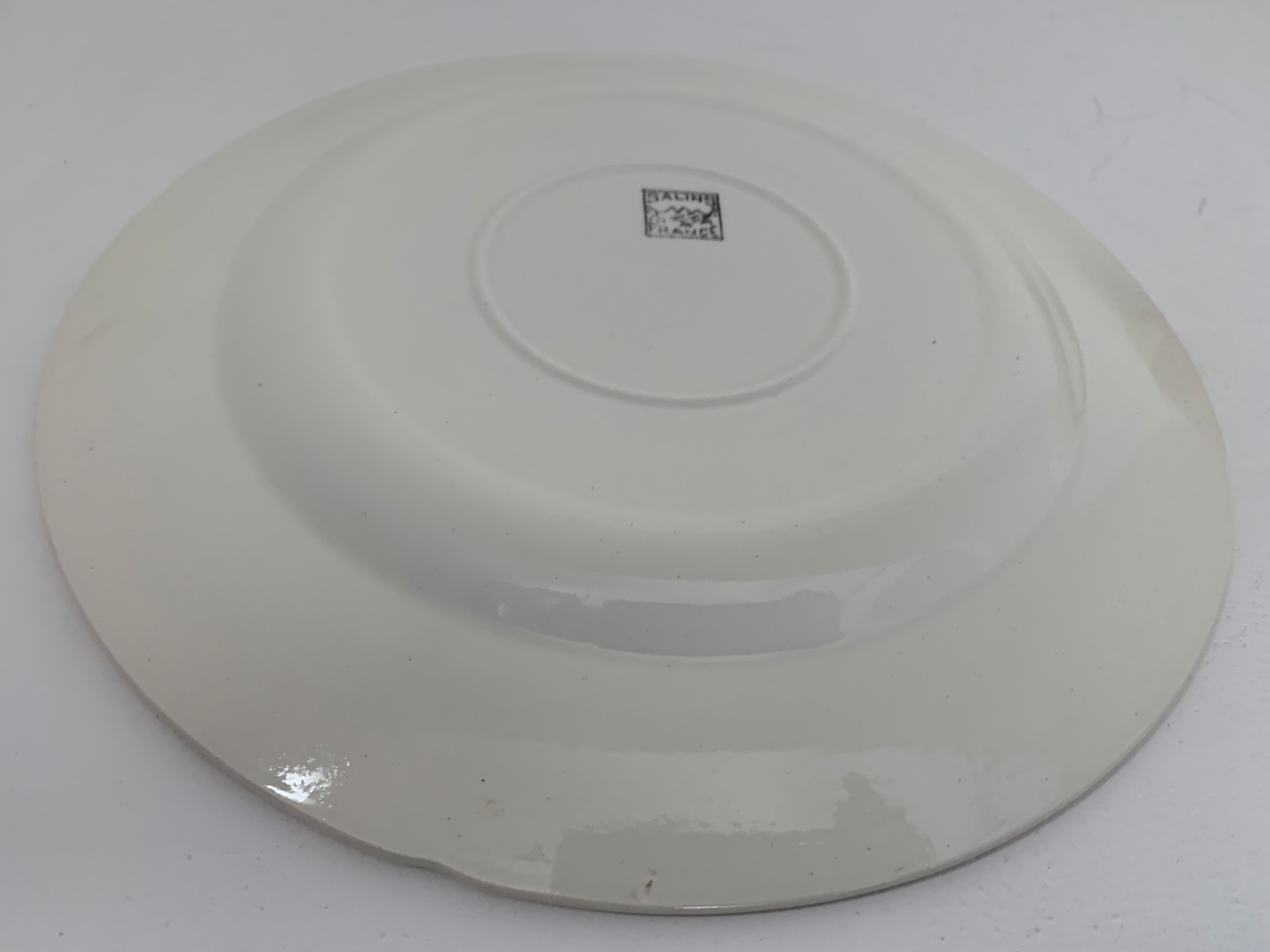 11 Salins flat plates
