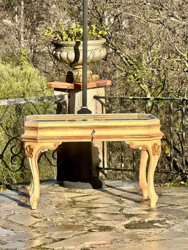 Table basse, vitrine d’exposition en bois peint polychrome
