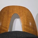 Dining Chairs by Antonin Suman, 1960s, Set of 4