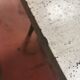 Table basse en travertin