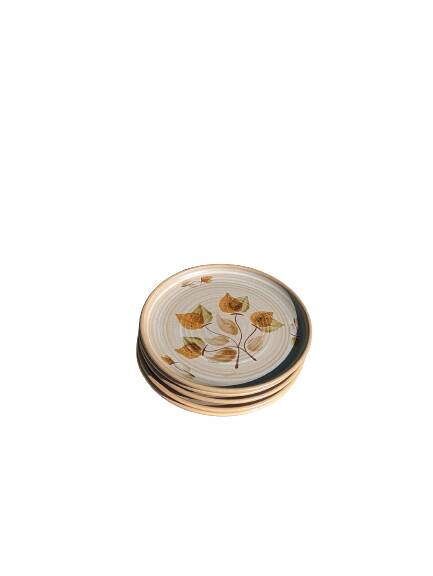 5 dinner plates and 5 small plates Niderviller model Doria