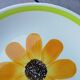 Low gien dish