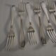 12 SFAM forks in its dark chocolate case