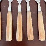 Set of 12 vintage forks and case