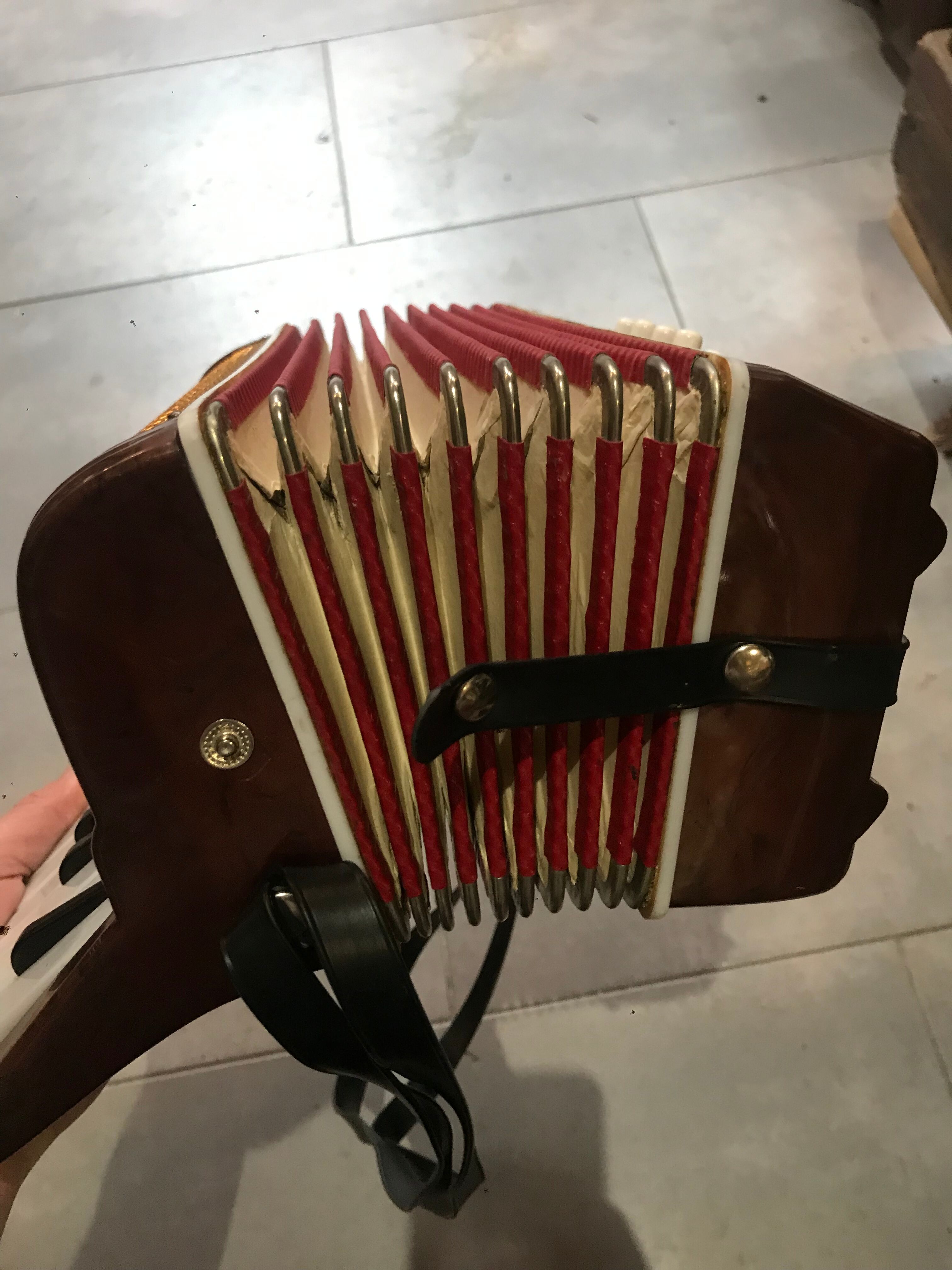 Accordion bempa