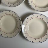 Iron earth soup plates
