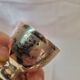 Silver cockroach punch rooster