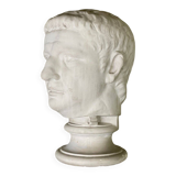 Plaster bust of a Roman emperor
